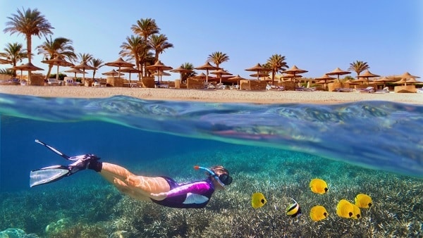 Marsa Alam - duiken en snorkelen Marsa Alam - duiken en snorkelen