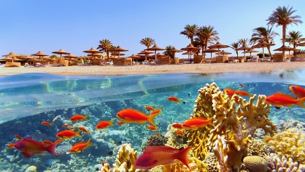 Duiken Hurghada - leuke activiteit Duiken Hurghada - leuke activiteit