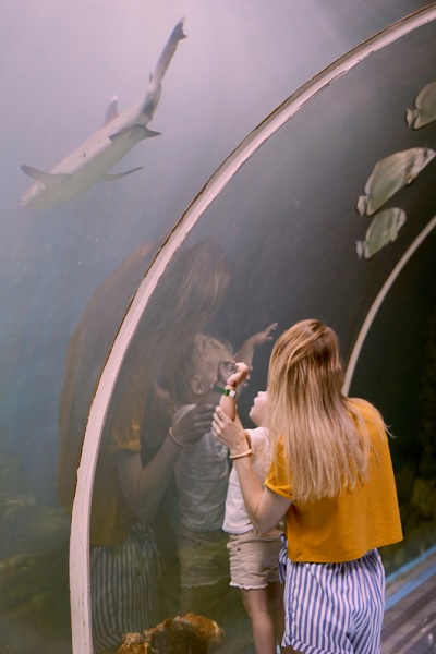 Grand Aquarium Hurghada - bezienswaardigheid Grand Aquarium Hurghada - bezienswaardigheid